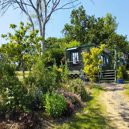 Peaceful Ensuite Lakeside Cabin 'Tench' Hadlow Down Extérieur photo