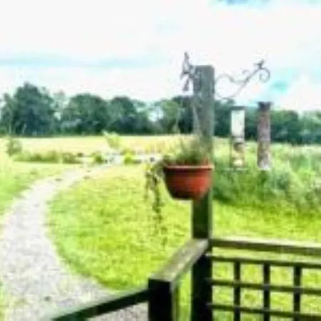 Peaceful Ensuite Lakeside Cabin 'Tench' Hadlow Down Extérieur photo