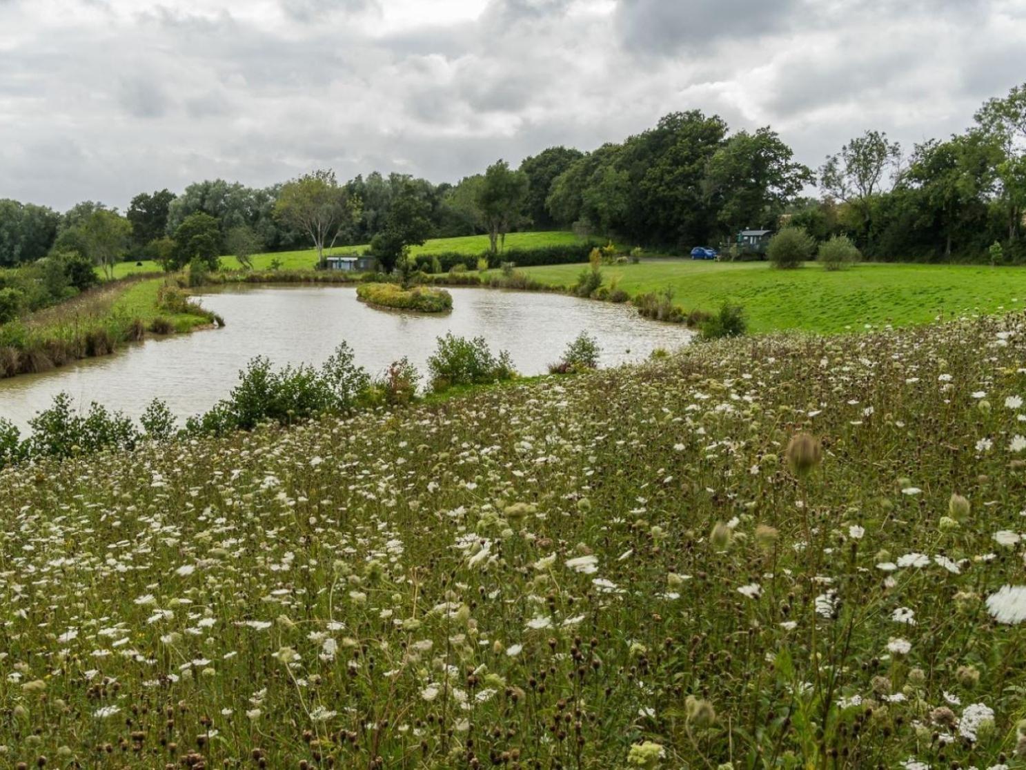 Peaceful Ensuite Lakeside 'tench' Holiday home Hadlow Down